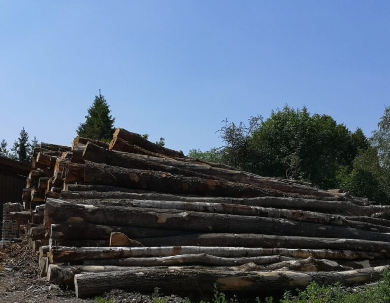 Camion de 20 stères, Hêtre Chêne Charme en grume