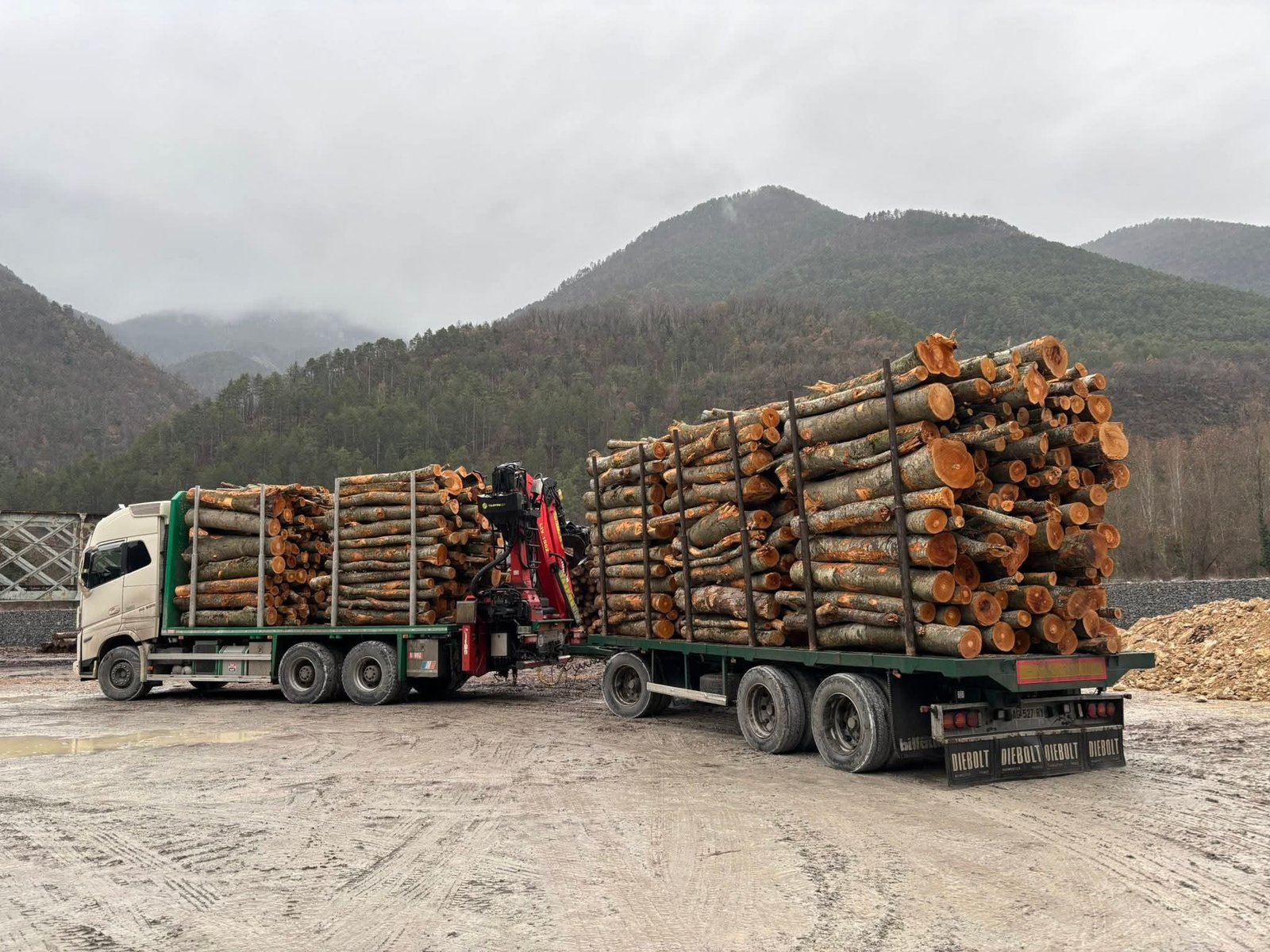 Bûches de bois compressées