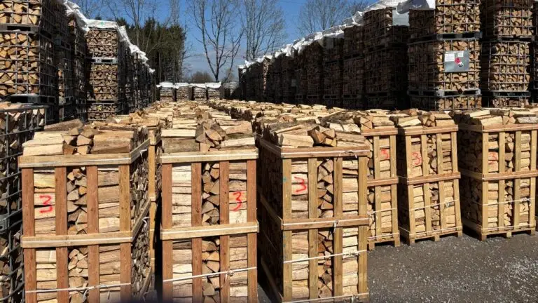 Palette de bois de chauffage